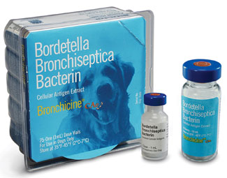 pfizer_bordetella