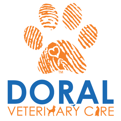 Pet Care Clinic Of Doral